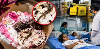 केक में मिली मरी छिपकली, 7 बच्चों समेत 11 की तबीयत बिगड़ी; स्टोर्स की जांच तेज Dead lizard found in birthday cake 11 people hospitalized