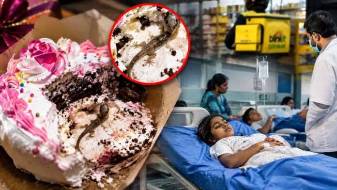Dead lizard found in birthday cake 11 people hospitalized Dead lizard found in birthday cake 11 people hospitalized