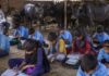 कहीं गोबर तो कहीं चारा’ जयपुर के पास ऐसे पढ़ने को मजबूर बच्चे, स्कूल की खुली पोल Rajasthan govt schools poor condition