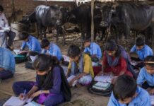 कहीं गोबर तो कहीं चारा’ जयपुर के पास ऐसे पढ़ने को मजबूर बच्चे, स्कूल की खुली पोल Rajasthan govt schools poor condition