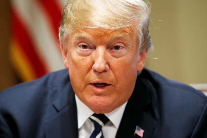 Trump 2020 election, Non-citizen votes Trump 2020 election, Non-citizen votes