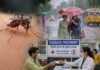 विश्व मच्छर दिवस 2026: मानसून में बढ़े बुखार के मामले, पंजाब में कैशलेस इलाज बनी मददगार Punjab Health Department