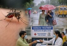 विश्व मच्छर दिवस 2026: मानसून में बढ़े बुखार के मामले, पंजाब में कैशलेस इलाज बनी मददगार Punjab Health Department