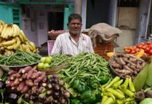 मूसलाधार बारिश से लखनऊ की फल-सब्जी सप्लाई चेन चरमराई, बाहरी राज्यों की आपदा बनी वजह Vegetable Market