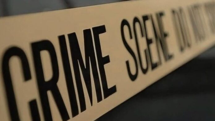 Delhi Crime Delhi Crime
