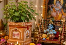 Krishna Janmashtami 2026 Tulsi Upay: कृष्ण जन्माष्टमी पर तुलसी से जुड़ें करें ये उपाय, मां लक्ष्मी बना देंगी धनवान Krishna Janmashtami 2026 Tulsi Upay