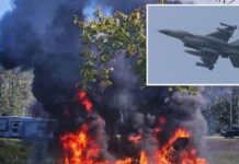 मिशिगन में ट्रेनिंग के दौरान बड़ा हादसा! अमेरिकी F-16 फाइटर जेट पक्षी से टकराकर क्रैश, पायलट ने पैराशूट से बचाई जान US F-16 fighter jet crash