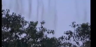 हैदराबाद से एक हैरान करने वाला वीडियो आया सामने, पेड़ों के पीछे भीषण आग और काला धुआं आसमान की ओर उठता दिखाई दिया Hyderabad trees black smoke woman zoomed camera scary truth