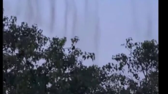 Hyderabad trees black smoke woman zoomed camera scary truth Hyderabad trees black smoke woman zoomed camera scary truth