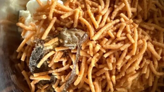 Lizard Found in Bikaji Aloo Bhujia Lizard Found in Bikaji Aloo Bhujia