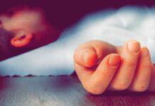 अमरोहा में छेड़छाड़ से परेशान होकर छात्रा ने दी जान, दो भाइयों के खिलाफ केस दर्ज, मुख्य आरोपी गिरफ्तार Amroha Student Death