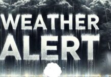 Weather Alert: IMD ने 15 राज्यों के लिए बारिश और तेज हवाओं का किया अलर्ट जारी weather forecast