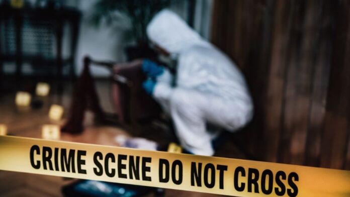 Crime Crime