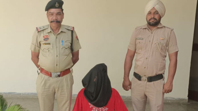 थाना सदर रतिया पुलिस की कार्रवाई, 8.08 ग्राम हेरोइन मामले में मुख्य सप्लायर काबू
